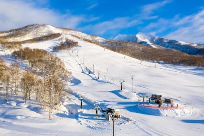 Niseko Moiwa Ski Resort